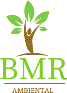 Logo BMR